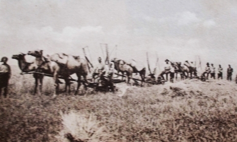 u0-weu-d1-7b3f77b9f55f411db8b1ded73e38075a^pimgpsh_fullsize_distr